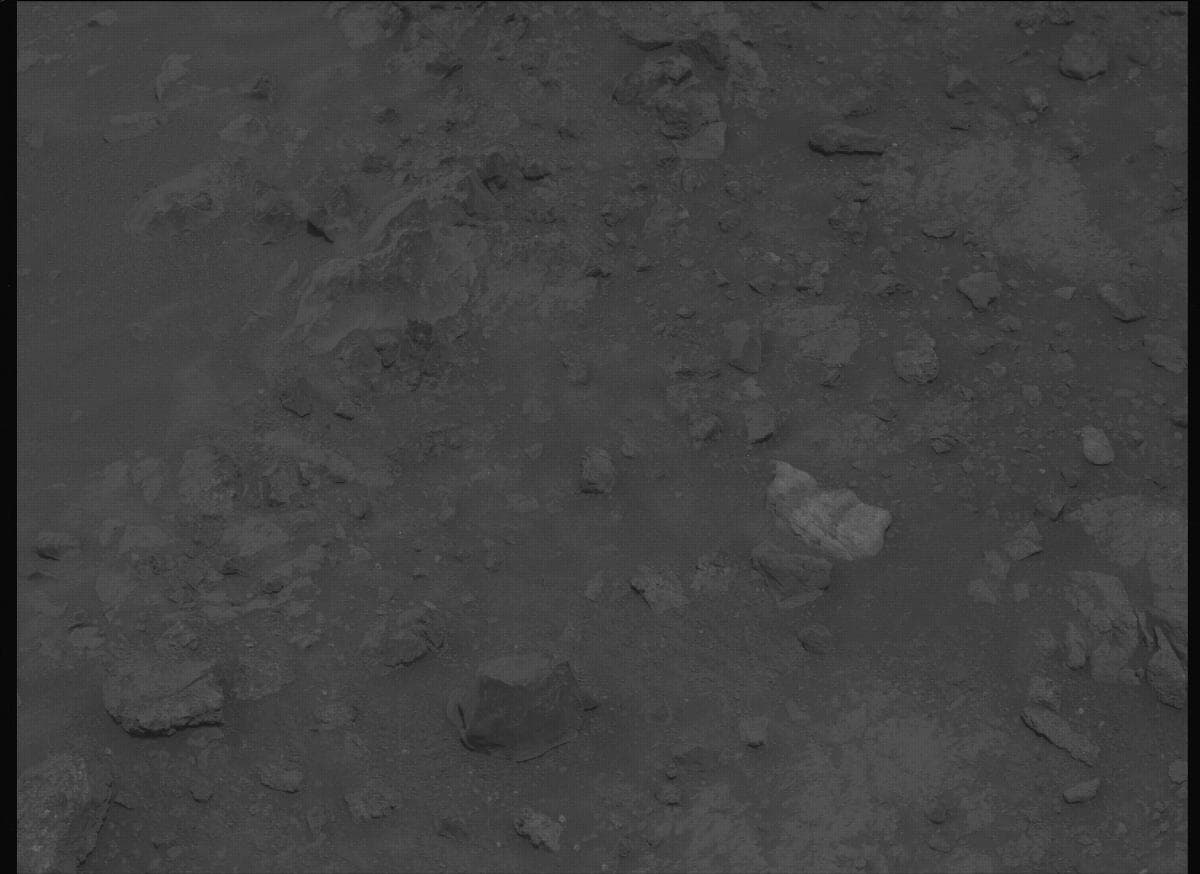Mars image captured by MCZ_LEFT on Perseverance