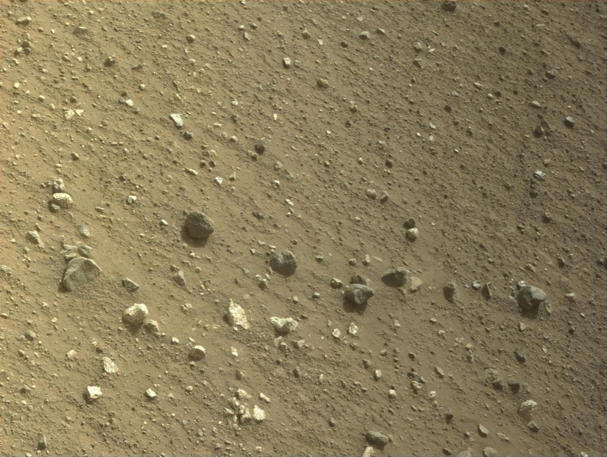 Mars image captured by NAVCAM_LEFT on Perseverance