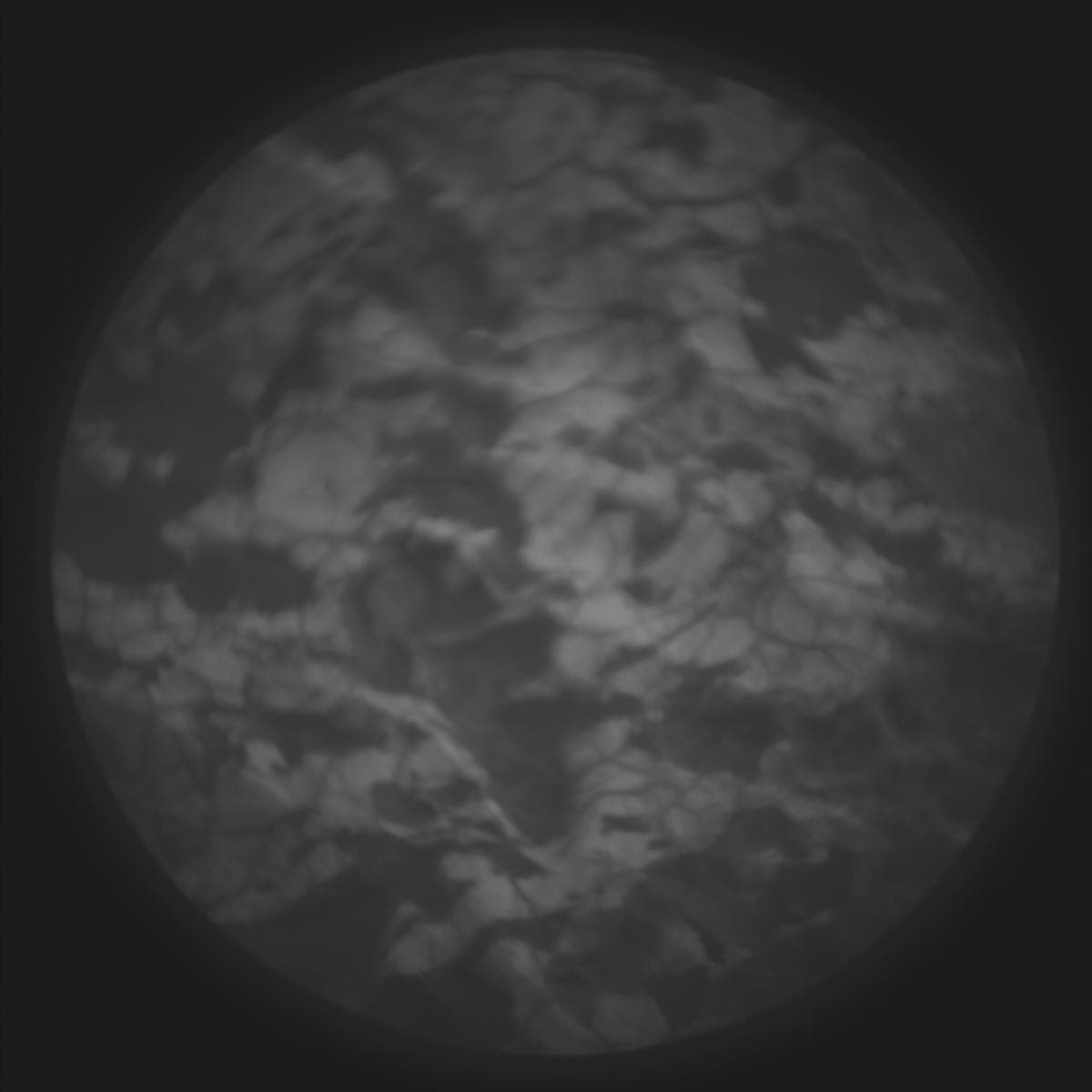 Mars rover photo