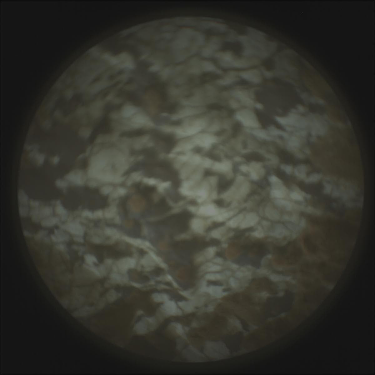 Mars rover photo