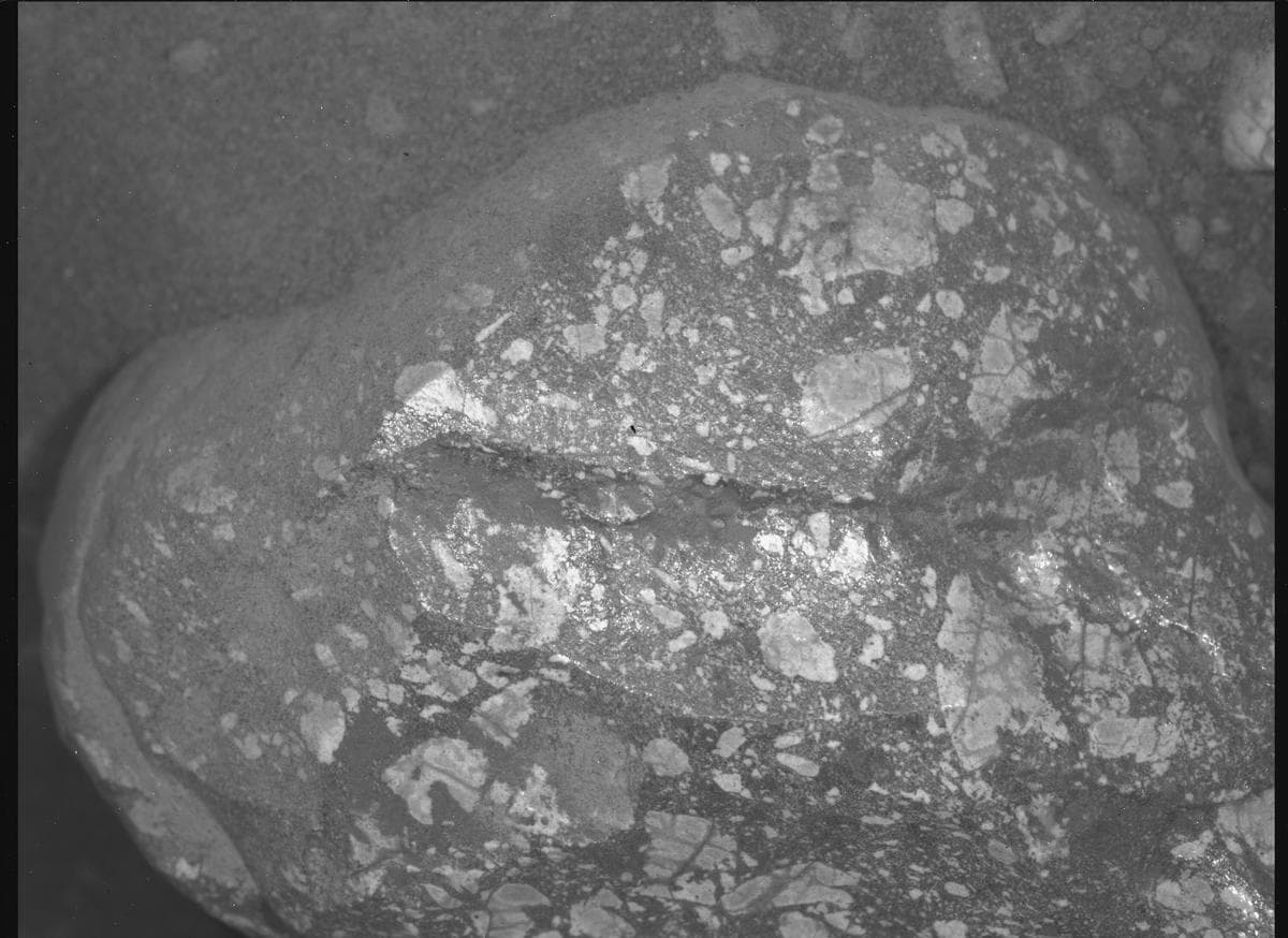 Mars image captured by SHERLOC_WATSON on Perseverance