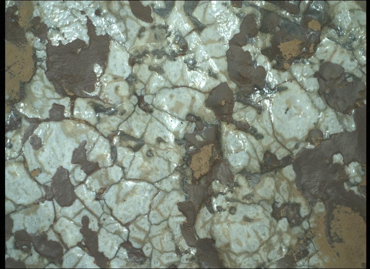 Mars image captured by SHERLOC_WATSON on Perseverance