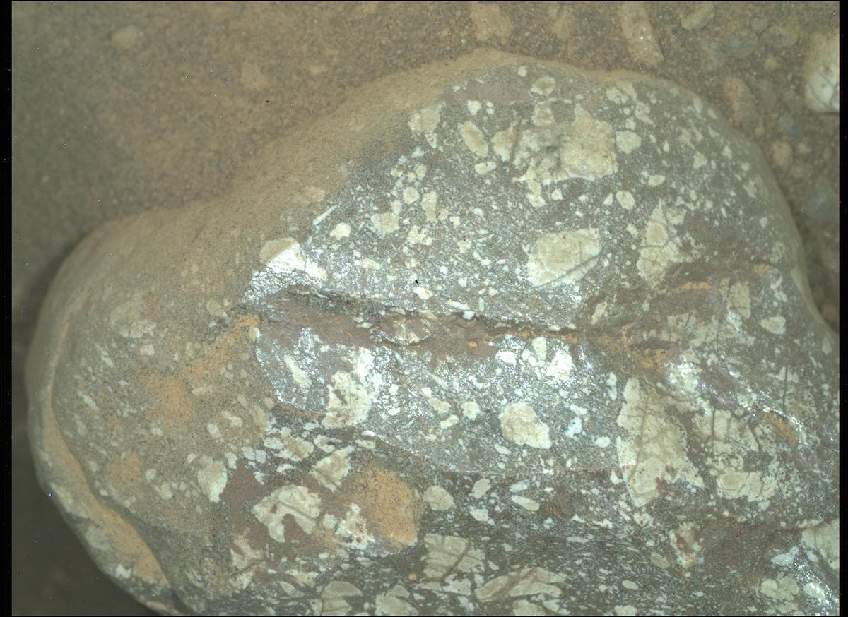 Mars image captured by SHERLOC_WATSON on Perseverance