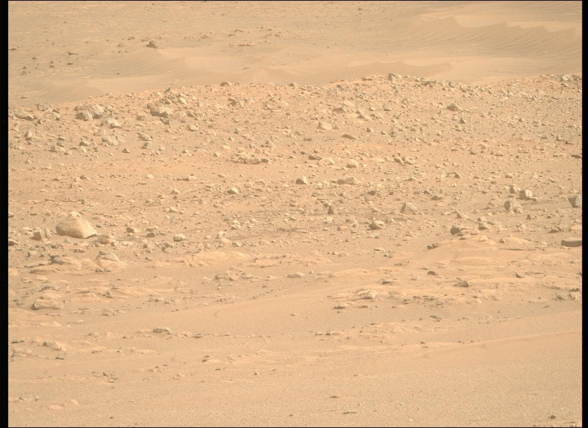 Mars image captured by MCZ_RIGHT on Perseverance
