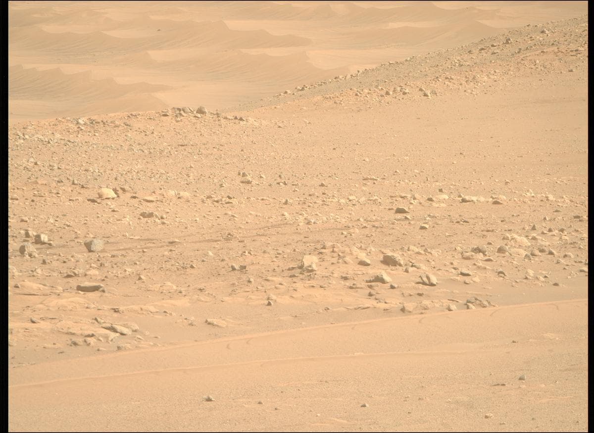 Mars image captured by MCZ_RIGHT on Perseverance