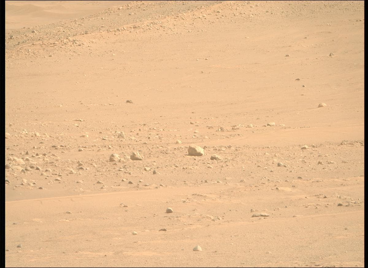 Mars image captured by MCZ_RIGHT on Perseverance