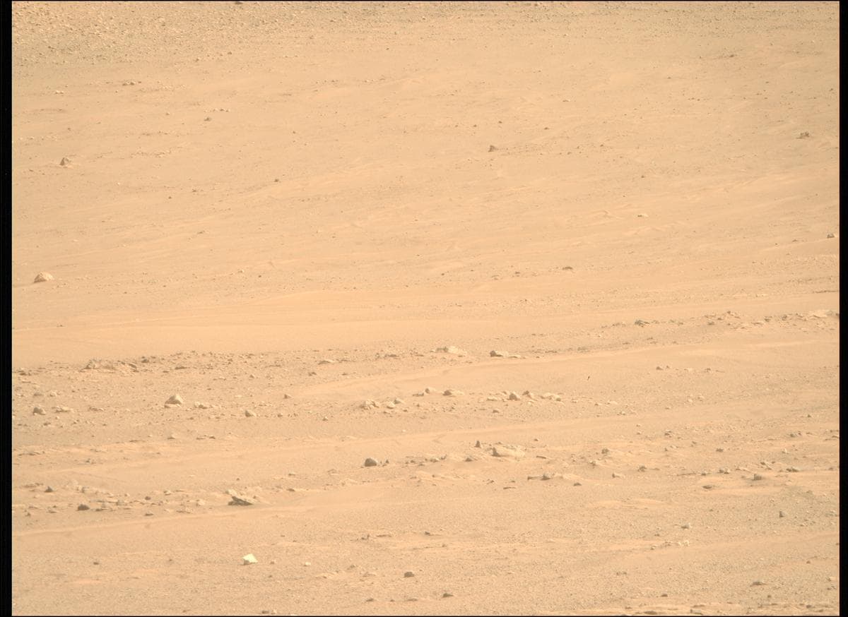 Mars image captured by MCZ_RIGHT on Perseverance