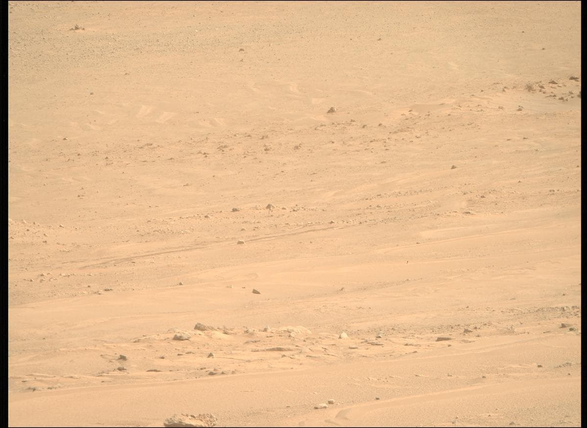 Mars image captured by MCZ_RIGHT on Perseverance