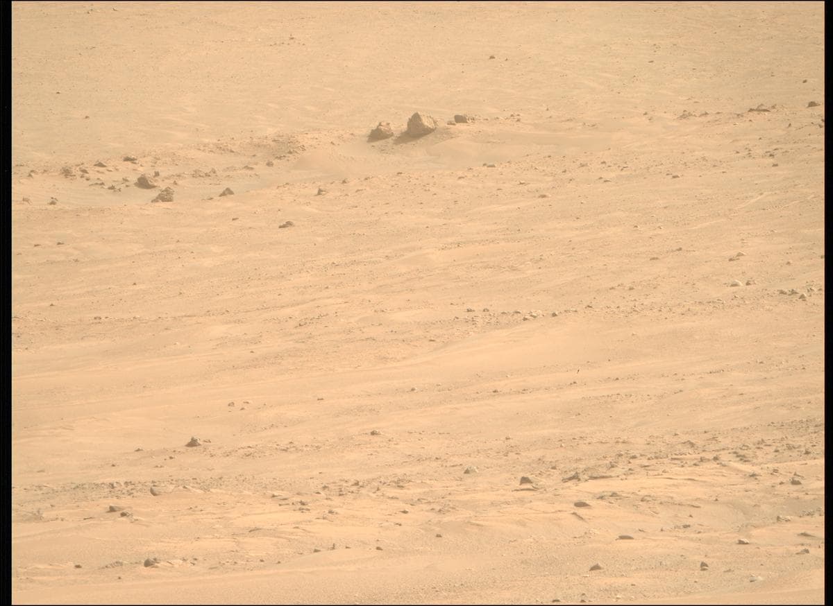 Mars image captured by MCZ_RIGHT on Perseverance