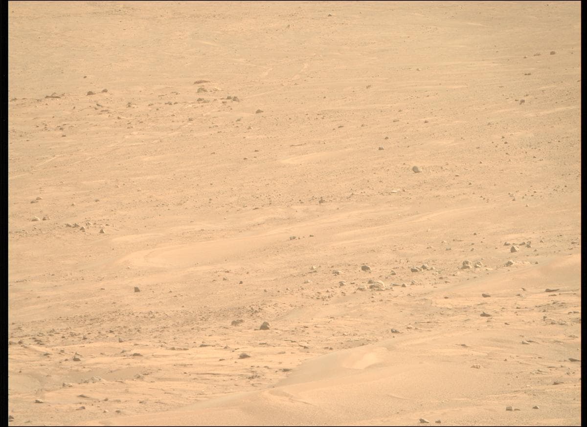 Mars image captured by MCZ_RIGHT on Perseverance