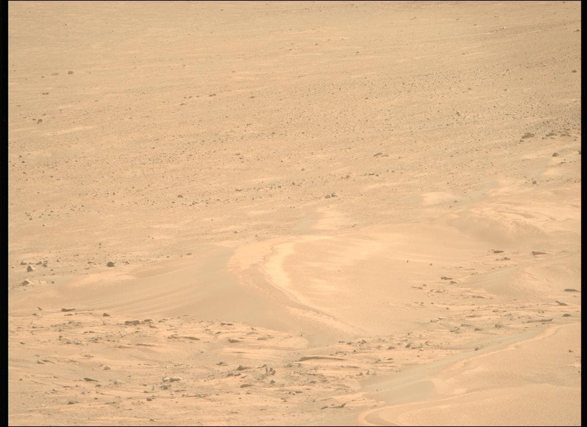 Mars image captured by MCZ_RIGHT on Perseverance