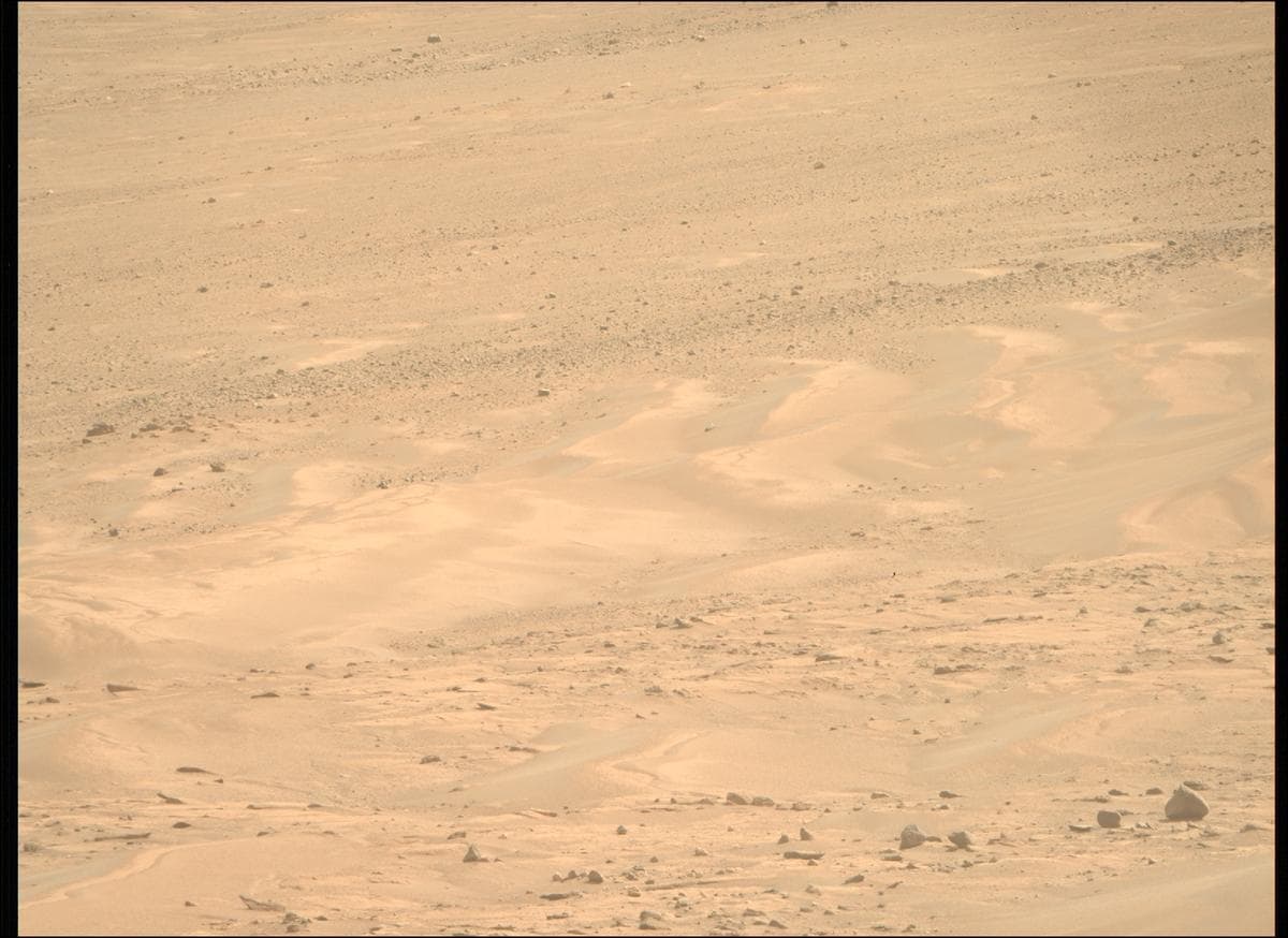 Mars image captured by MCZ_RIGHT on Perseverance