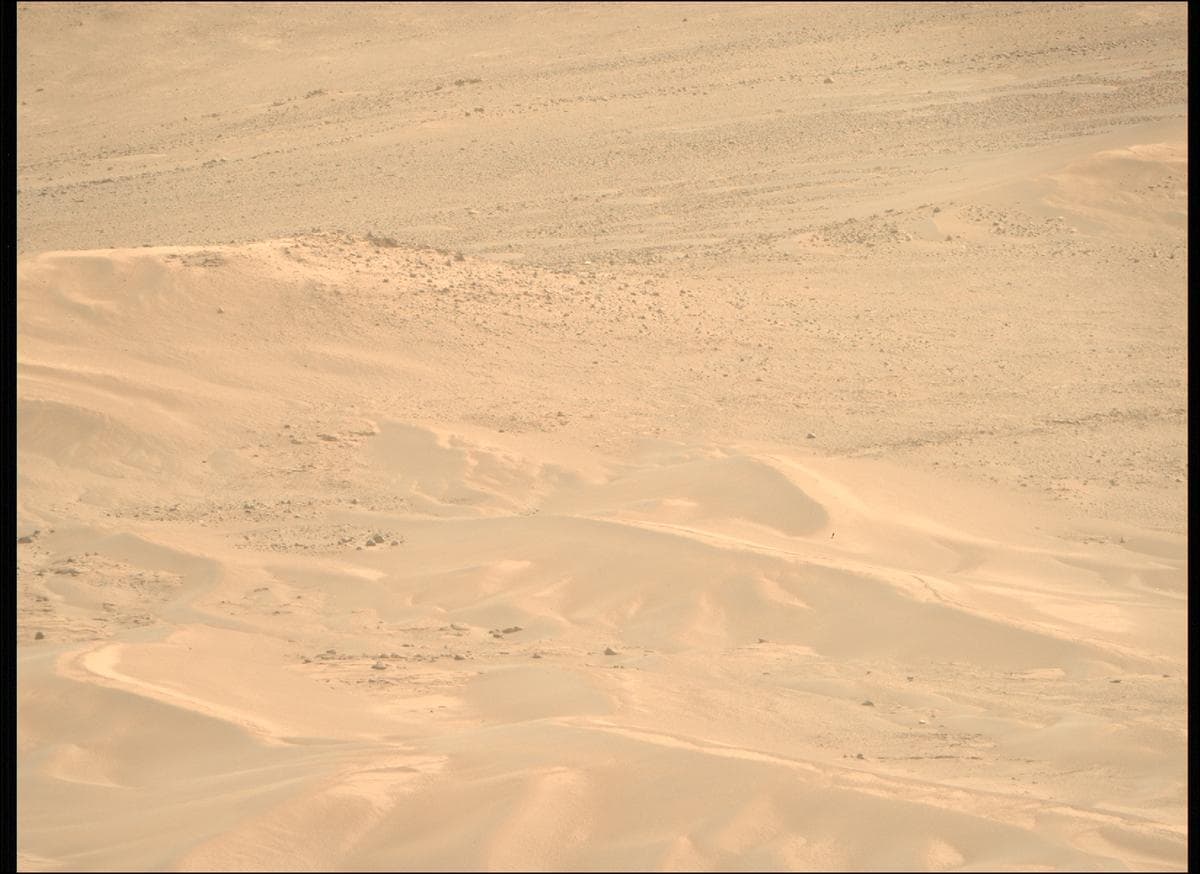 Mars image captured by MCZ_RIGHT on Perseverance