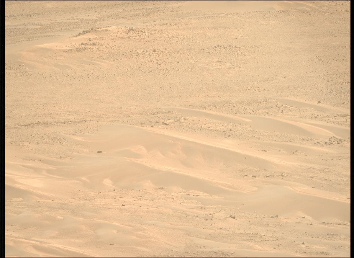 Mars image captured by MCZ_RIGHT on Perseverance