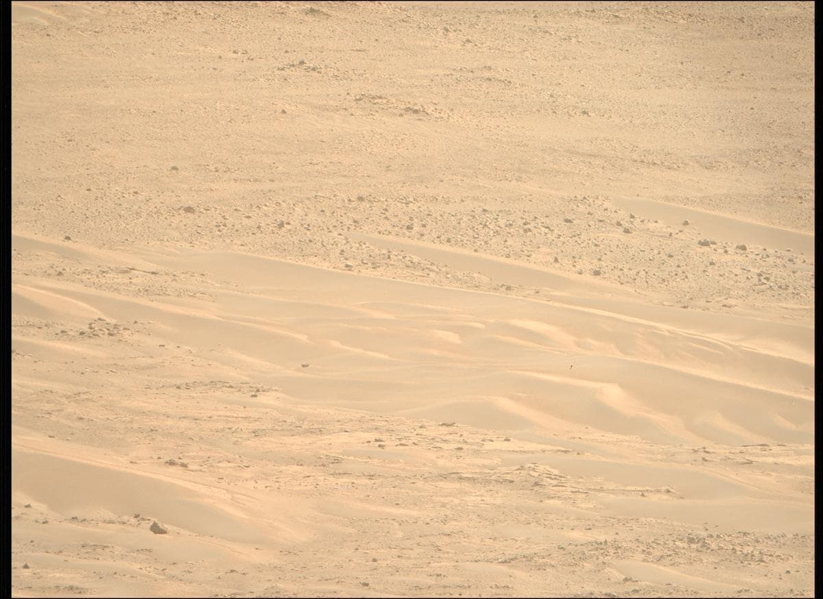 Mars image captured by MCZ_RIGHT on Perseverance