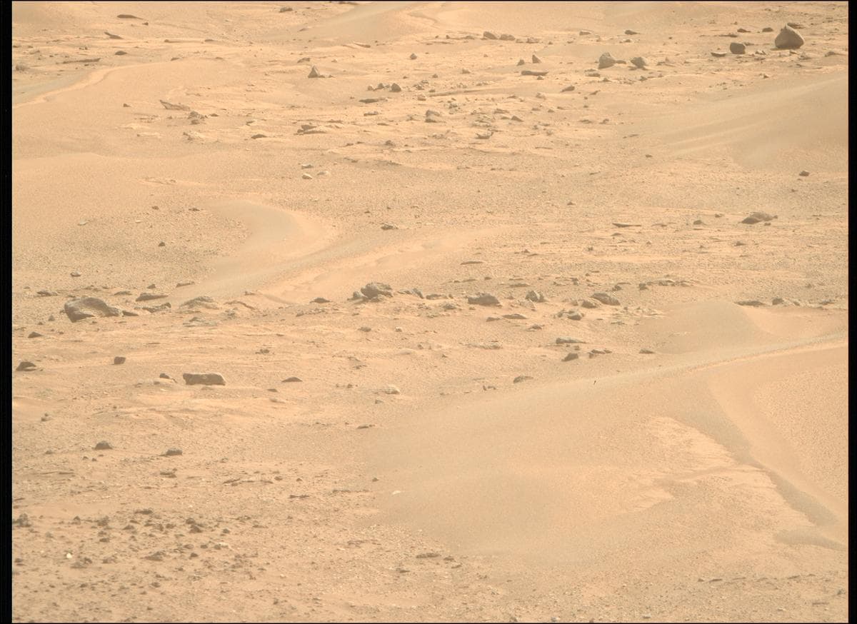 Mars image captured by MCZ_RIGHT on Perseverance