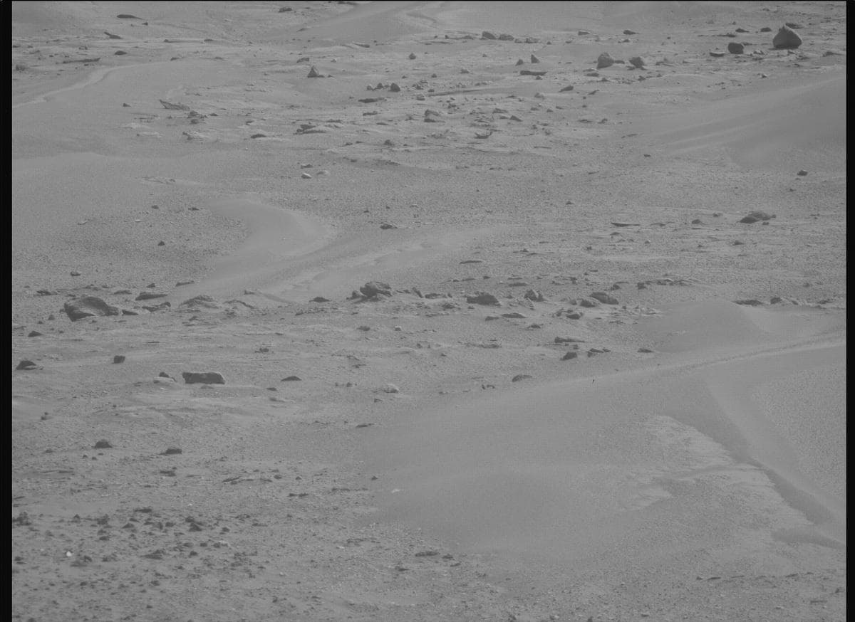 Mars image captured by MCZ_RIGHT on Perseverance