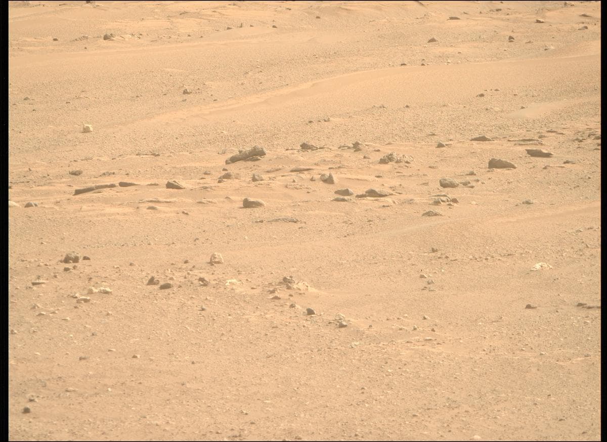 Mars image captured by MCZ_RIGHT on Perseverance