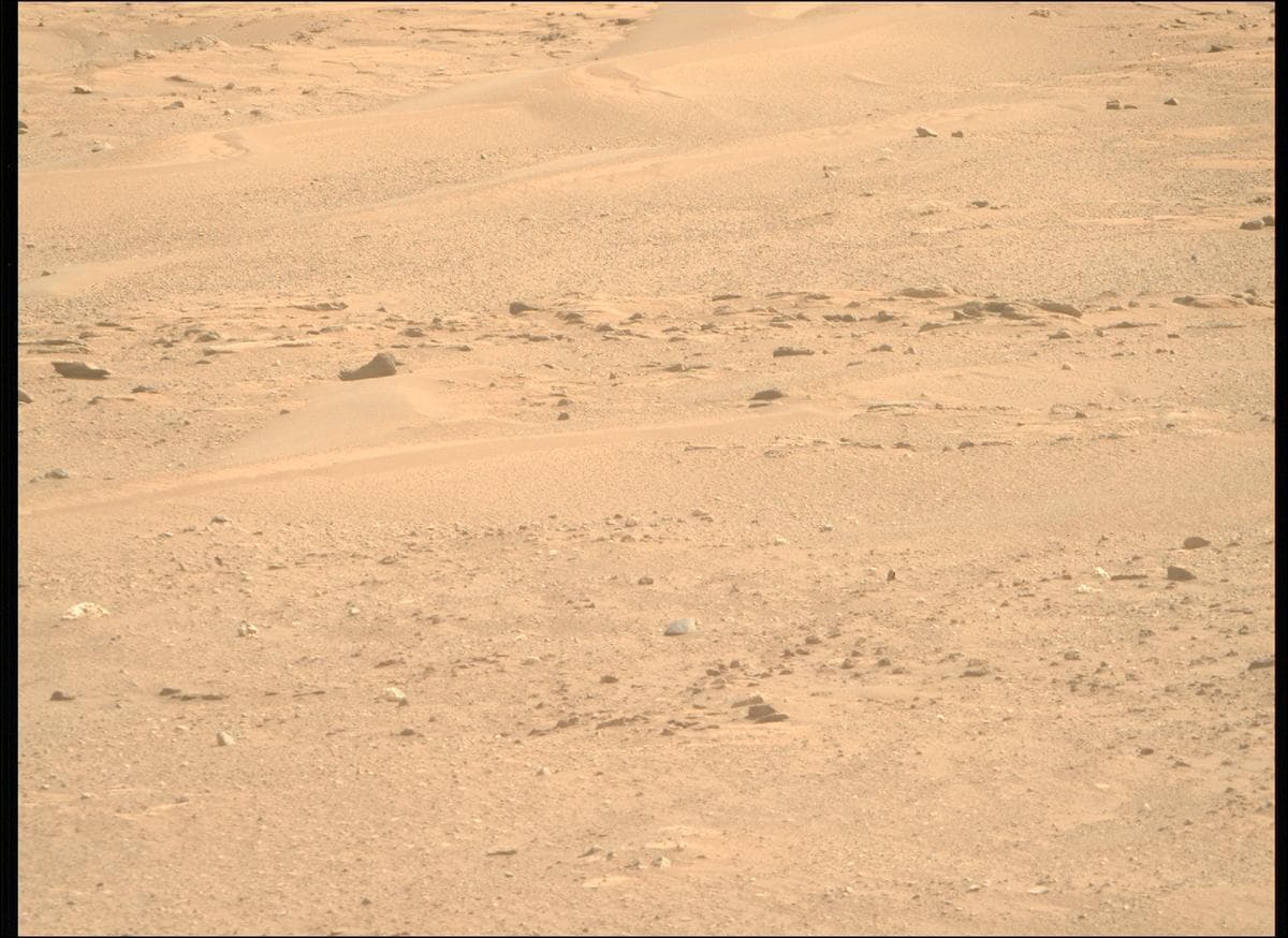 Mars image captured by MCZ_RIGHT on Perseverance
