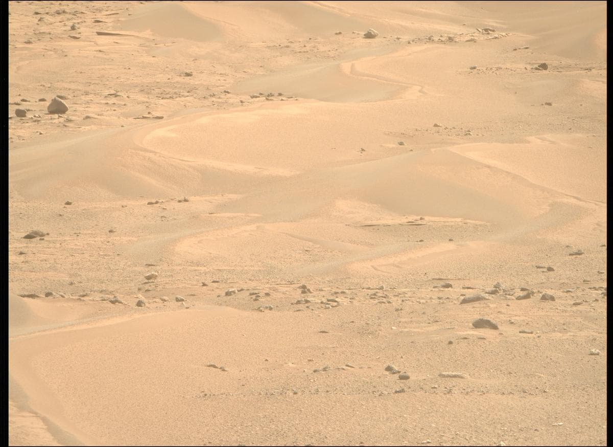 Mars image captured by MCZ_RIGHT on Perseverance