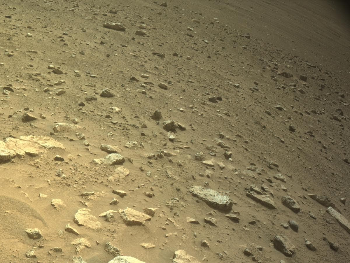 Mars image captured by NAVCAM_LEFT on Perseverance