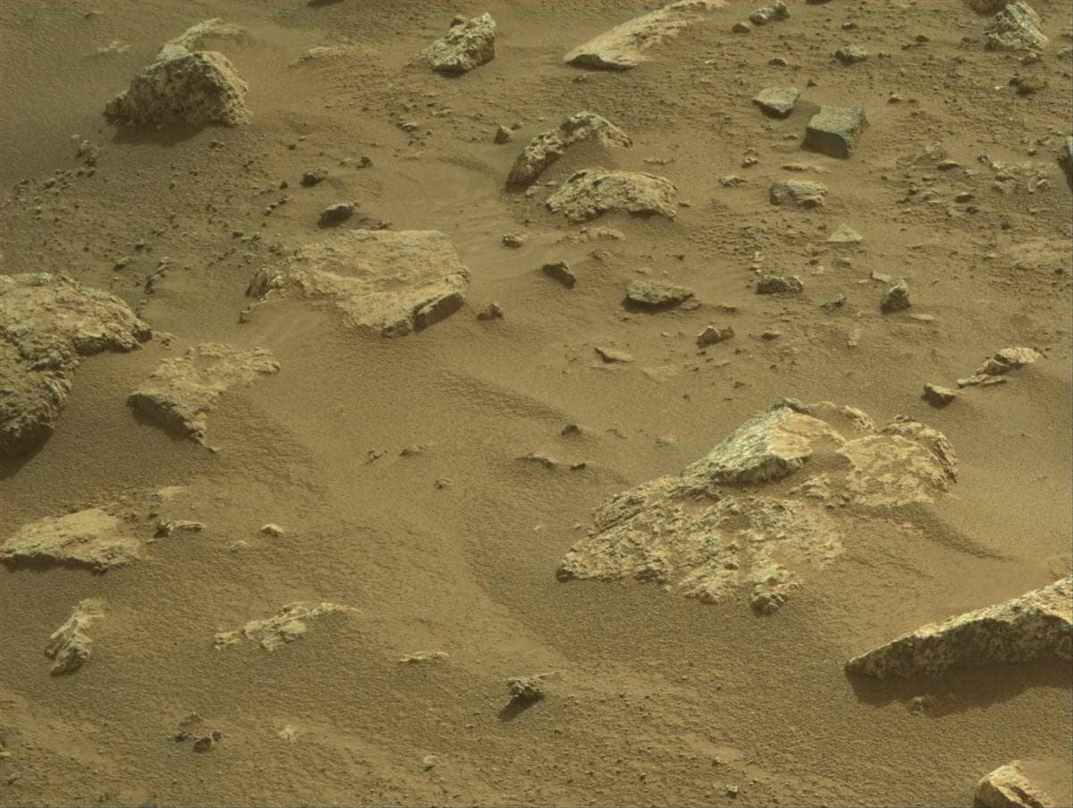 Mars image captured by NAVCAM_LEFT on Perseverance
