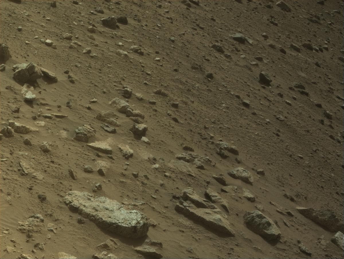 Mars image captured by NAVCAM_LEFT on Perseverance