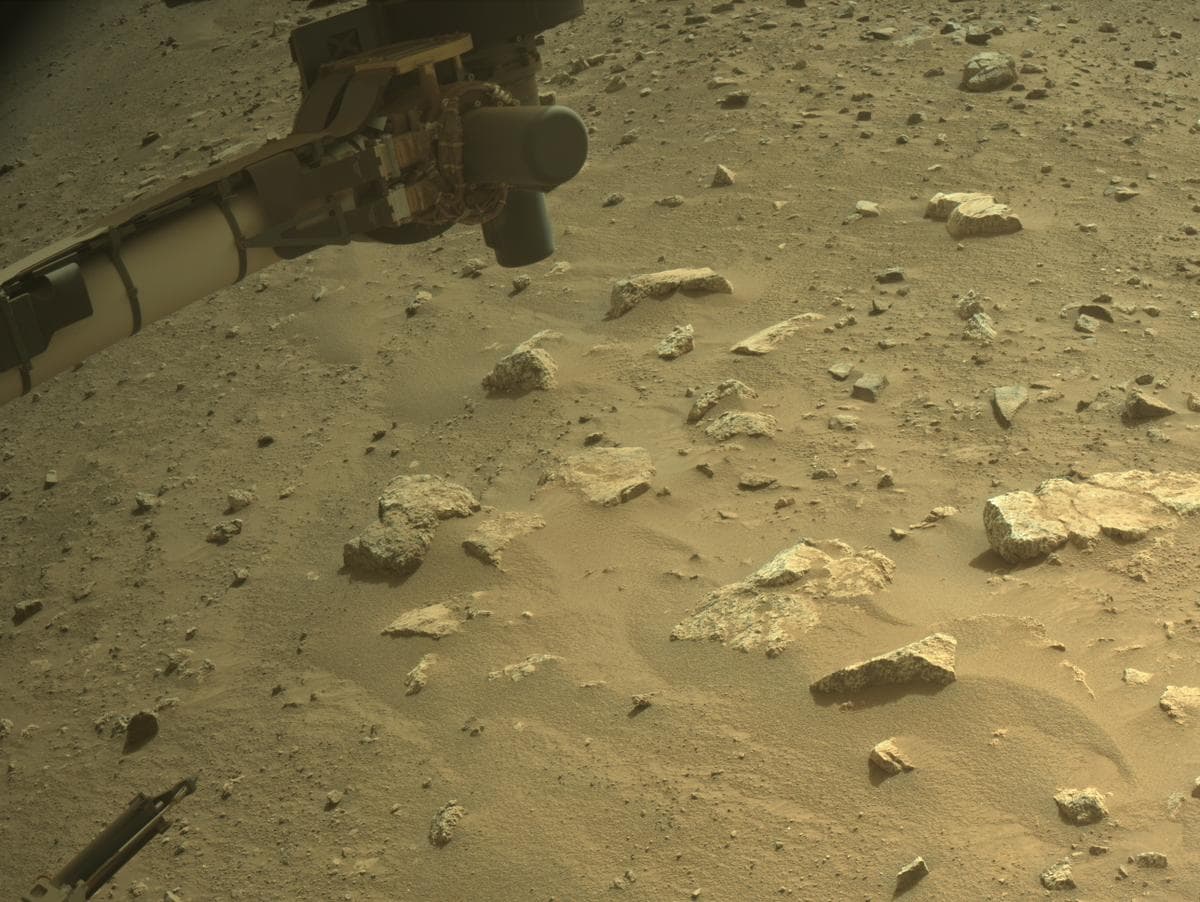 Mars image captured by NAVCAM_RIGHT on Perseverance