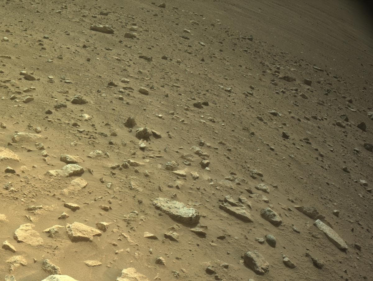Mars image captured by NAVCAM_RIGHT on Perseverance
