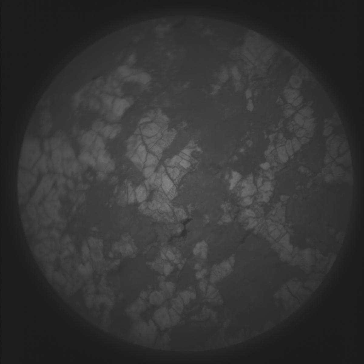 Mars image captured by SUPERCAM_RMI on Perseverance