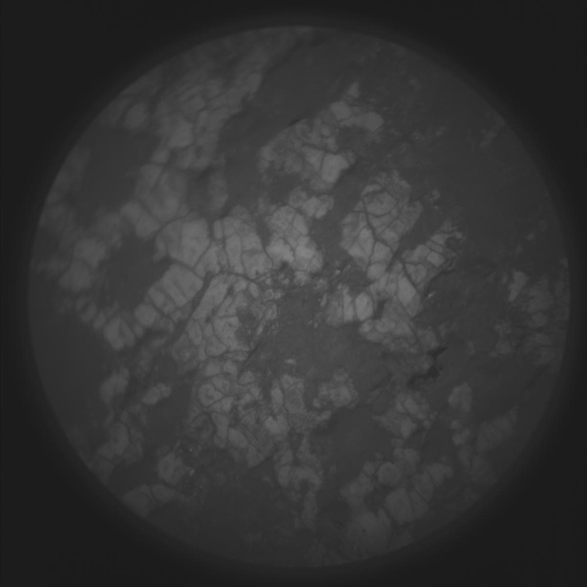 Mars image captured by SUPERCAM_RMI on Perseverance