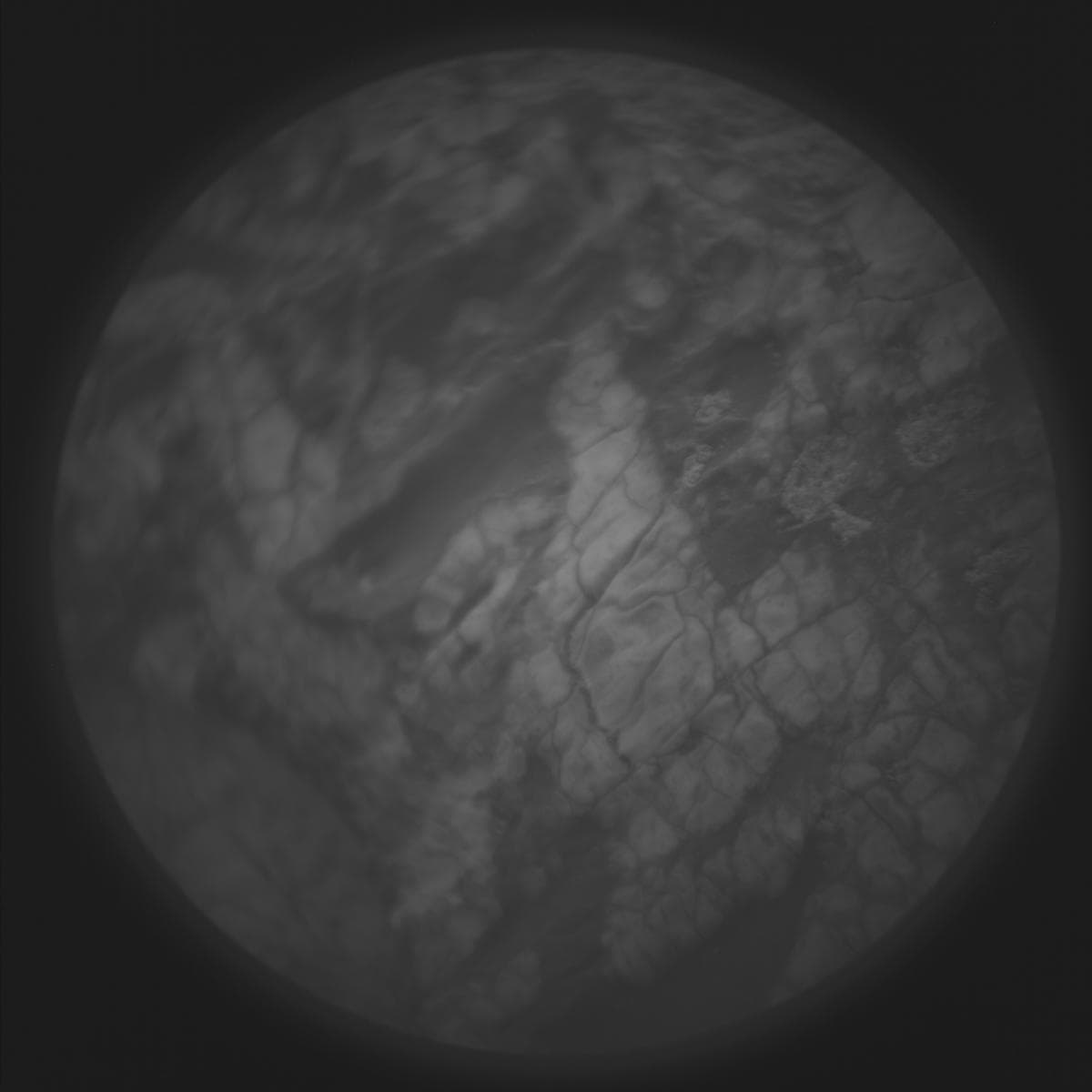 Mars image captured by SUPERCAM_RMI on Perseverance