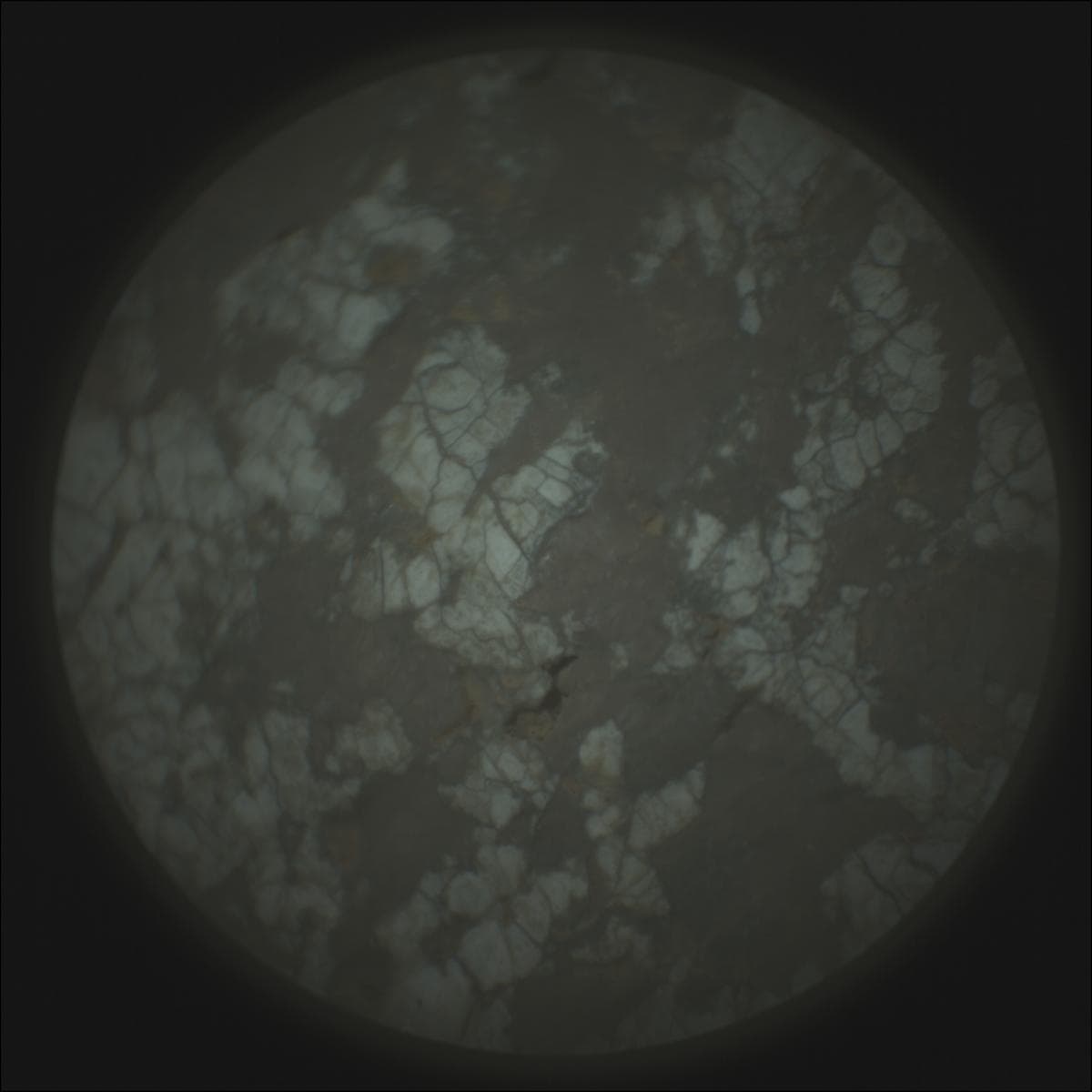 Mars image captured by SUPERCAM_RMI on Perseverance