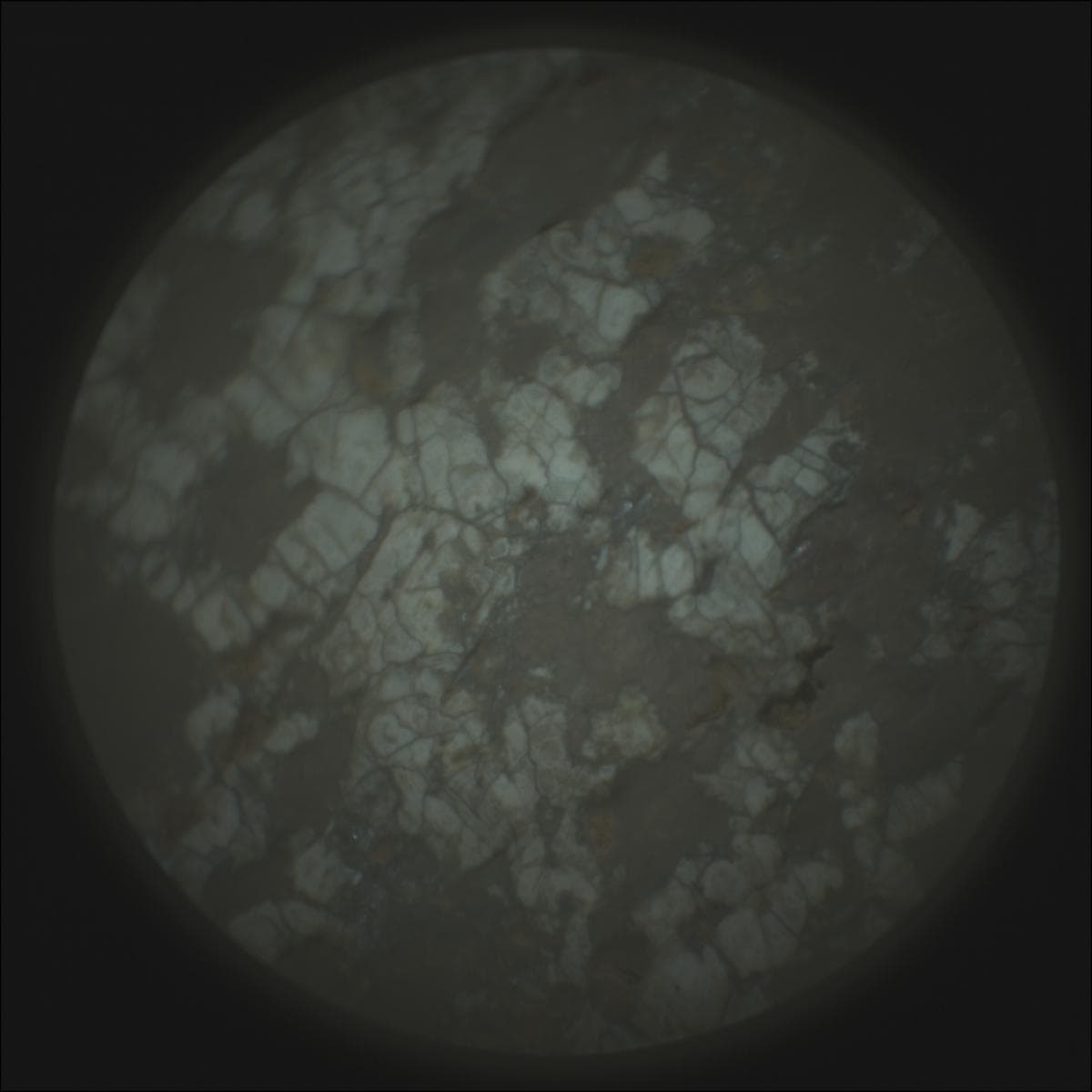 Mars image captured by SUPERCAM_RMI on Perseverance