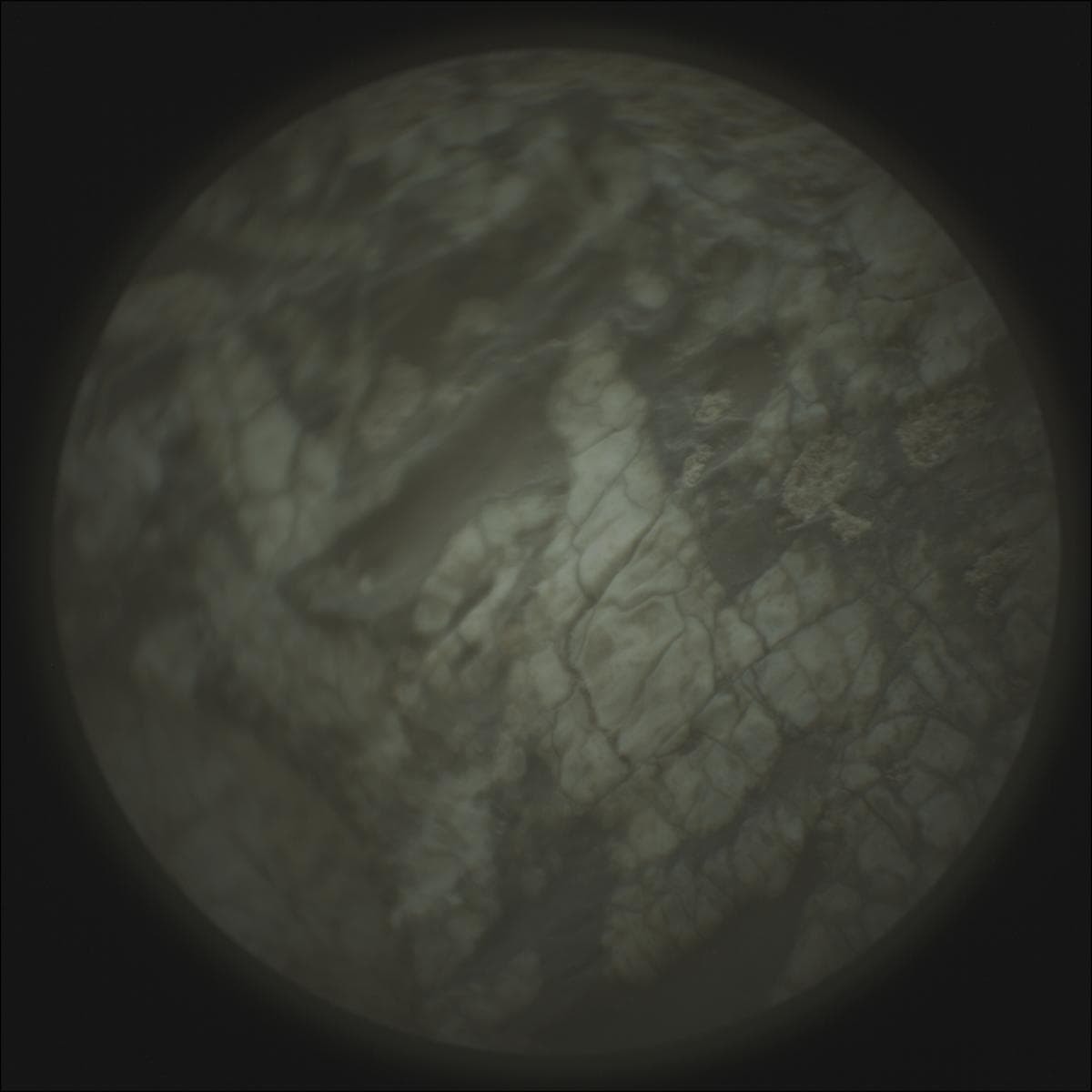 Mars rover photo