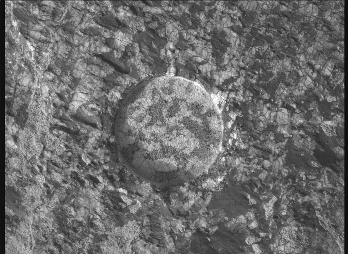 Mars image captured by SHERLOC_WATSON on Perseverance