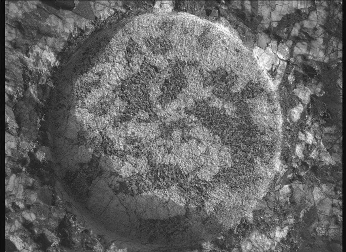 Mars rover photo