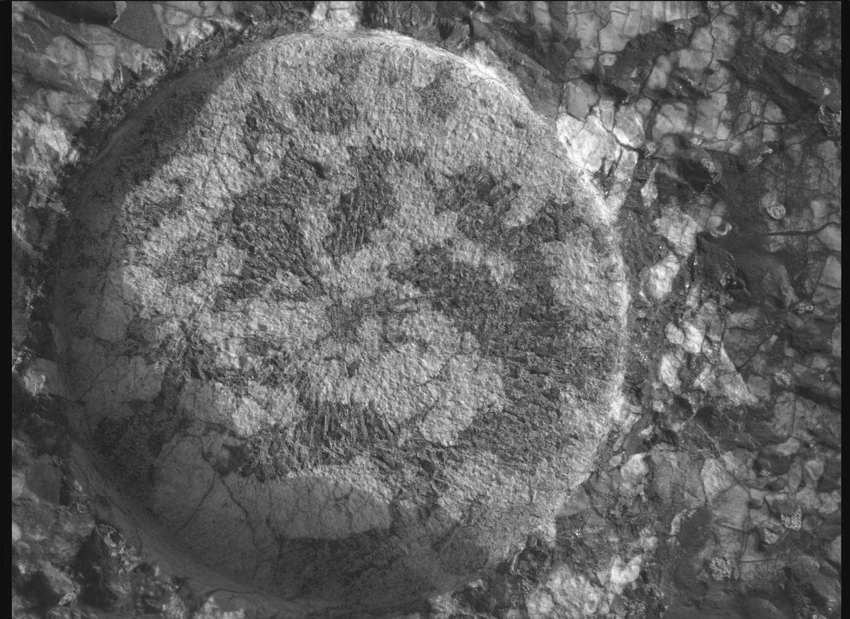 Mars rover photo