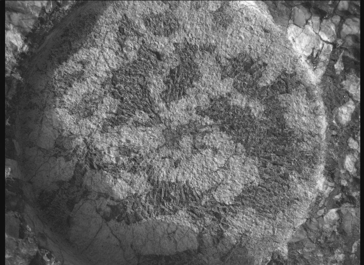 Mars rover photo
