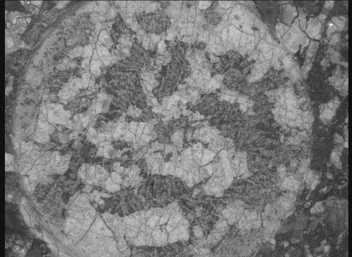 Mars rover photo