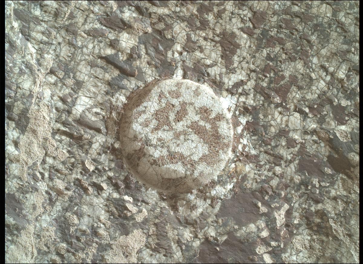 Mars image captured by SHERLOC_WATSON on Perseverance