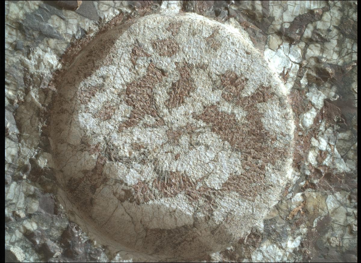 Mars rover photo