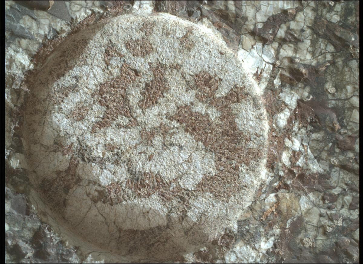 Mars rover photo