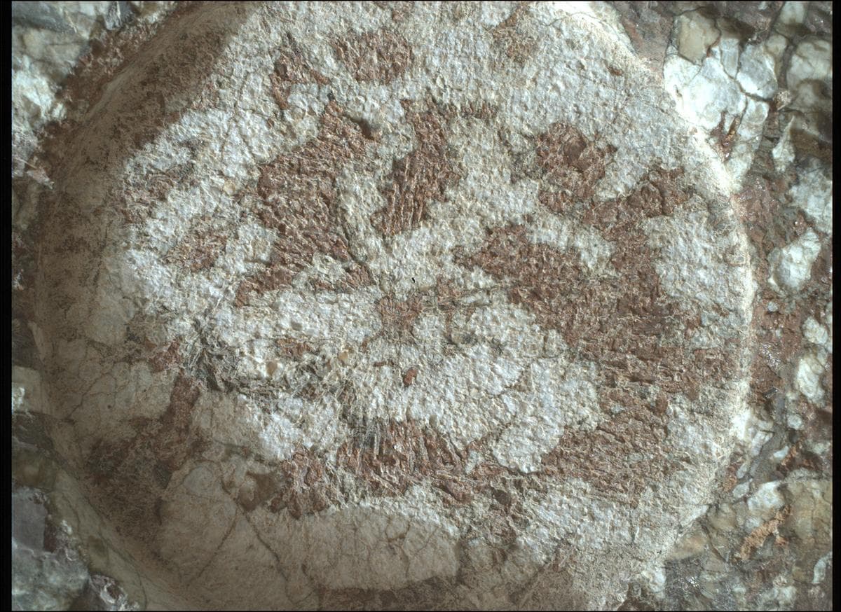 Mars rover photo