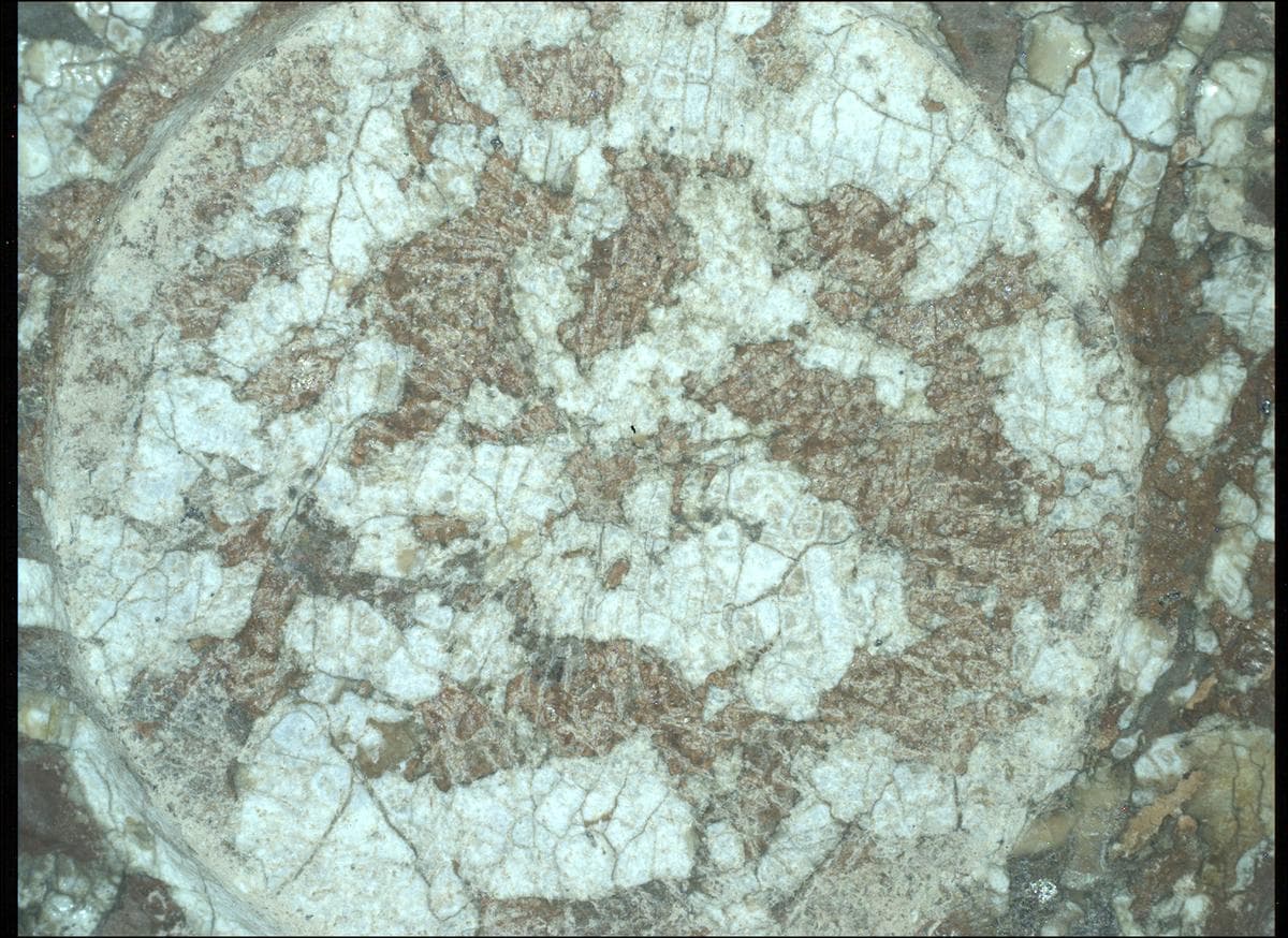 Mars rover photo