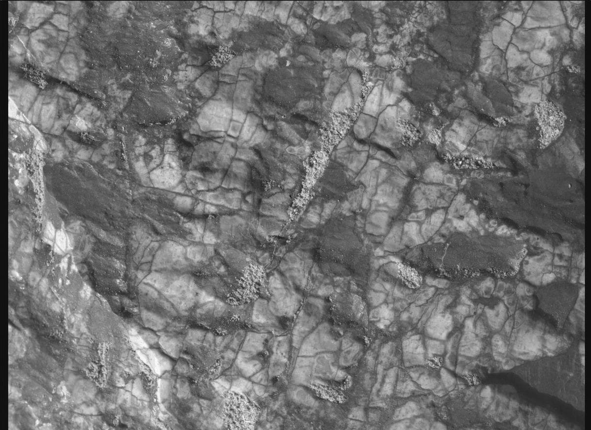Mars image captured by SHERLOC_WATSON on Perseverance