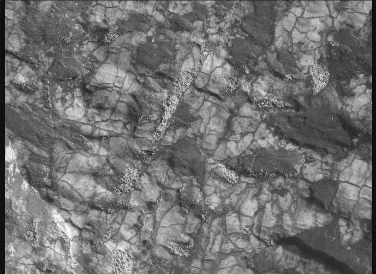 Mars rover photo