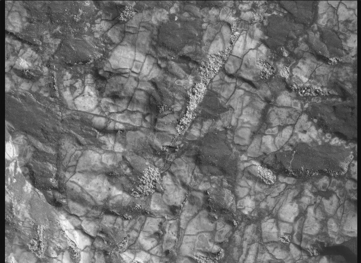 Mars image captured by SHERLOC_WATSON on Perseverance
