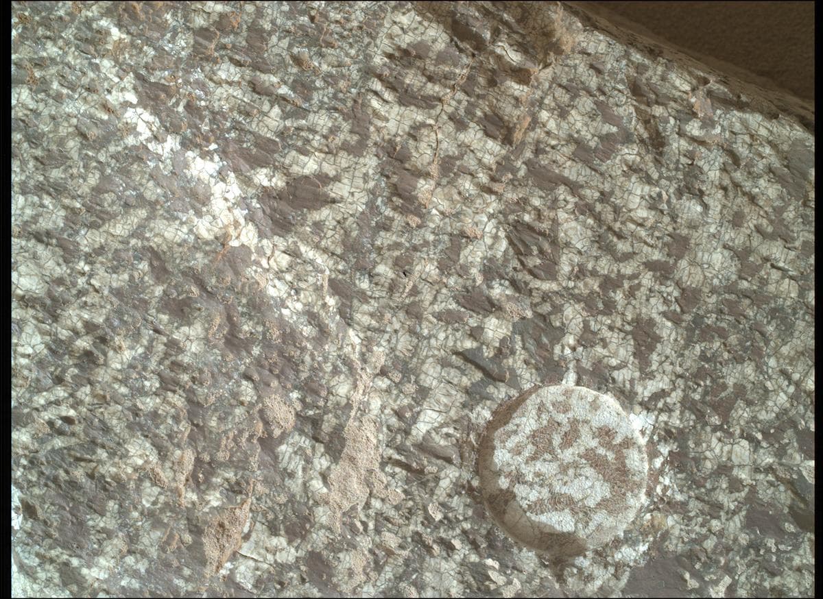 Mars image captured by SHERLOC_WATSON on Perseverance
