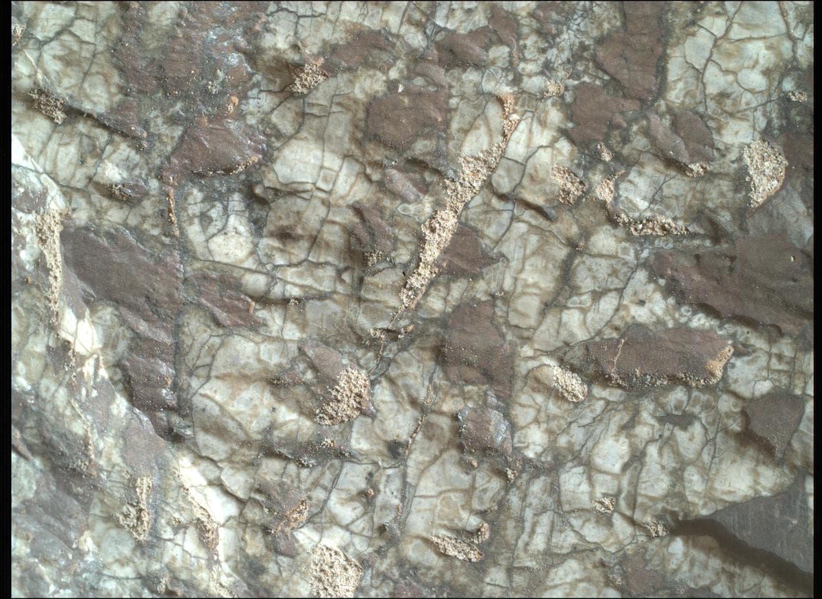 Mars image captured by SHERLOC_WATSON on Perseverance